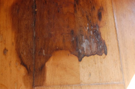 Water Damaged Timber Floor Repairs Sydney
